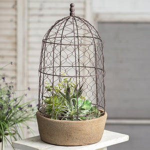 Tall Chicken Wire Cloche with Terra Cotta Pot - Cottage and Thistle